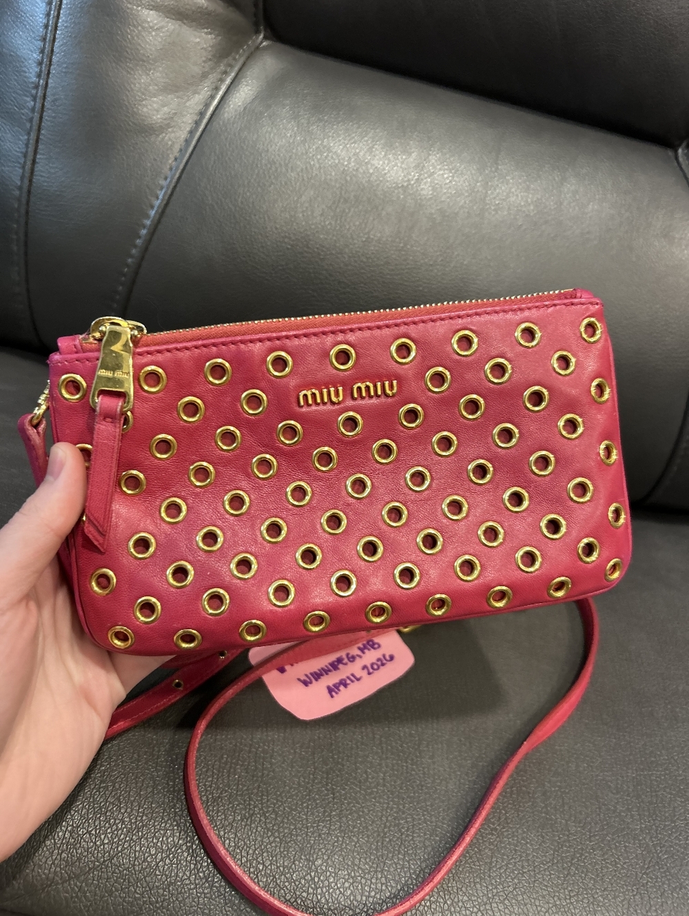 MiuMiu Crossbody - Picture 2 of 16